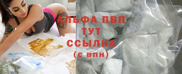 ПСИЛОЦИБИНОВЫЕ ГРИБЫ Куйбышев