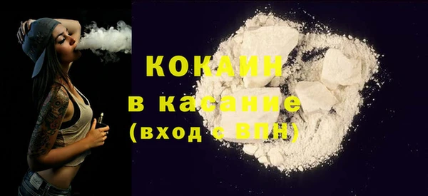 крисы Кулебаки