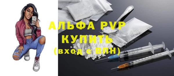 крисы Кулебаки