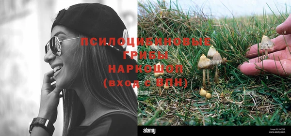 ПСИЛОЦИБИНОВЫЕ ГРИБЫ Куйбышев