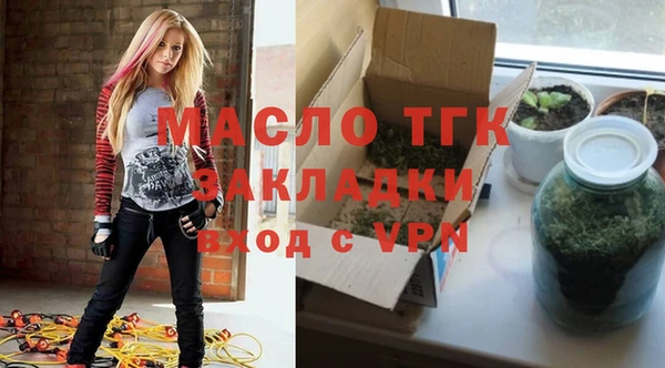 крисы Кулебаки