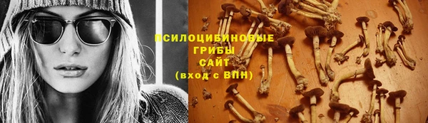 ПСИЛОЦИБИНОВЫЕ ГРИБЫ Куйбышев