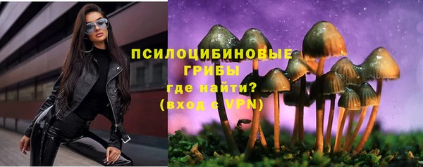 ПСИЛОЦИБИНОВЫЕ ГРИБЫ Куйбышев