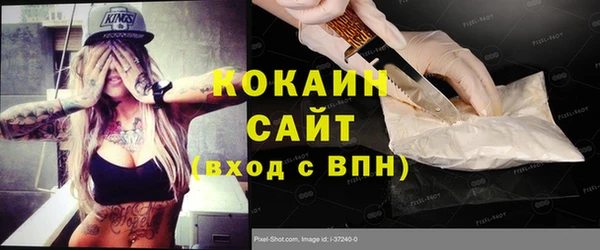 крисы Кулебаки